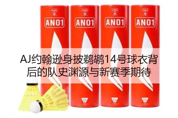 AJ约翰逊身披鹈鹕14号球衣背后的队史渊源与新赛季期待